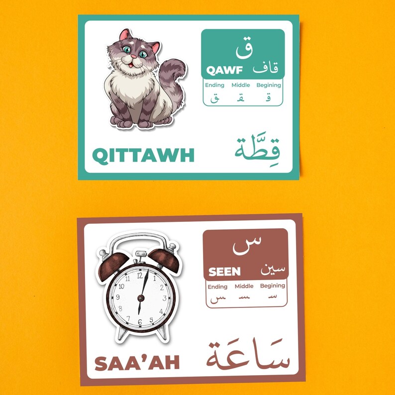 Arabic Flash Card Mockup Img 7